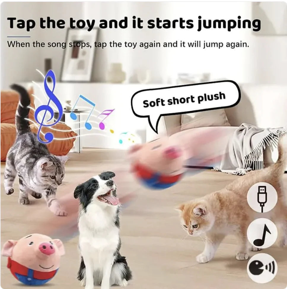 Jump & Play Squeaky Plush Dog Toy