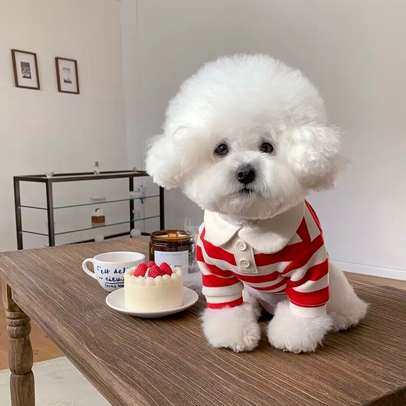 Chic Summer Dog Polo