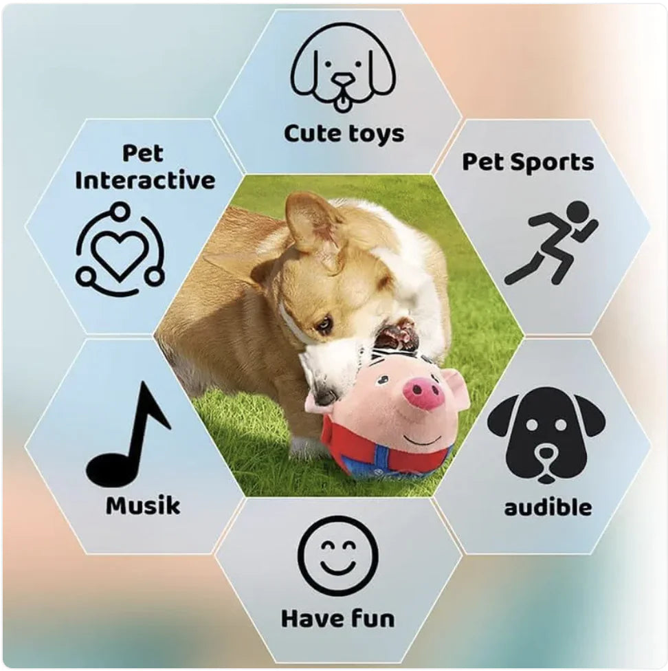 Jump & Play Squeaky Plush Dog Toy