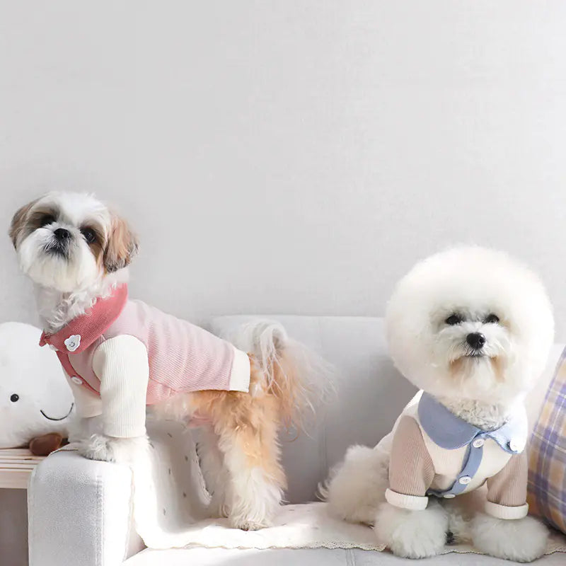 Cloud Ribbed Small Dog Casual Clothing