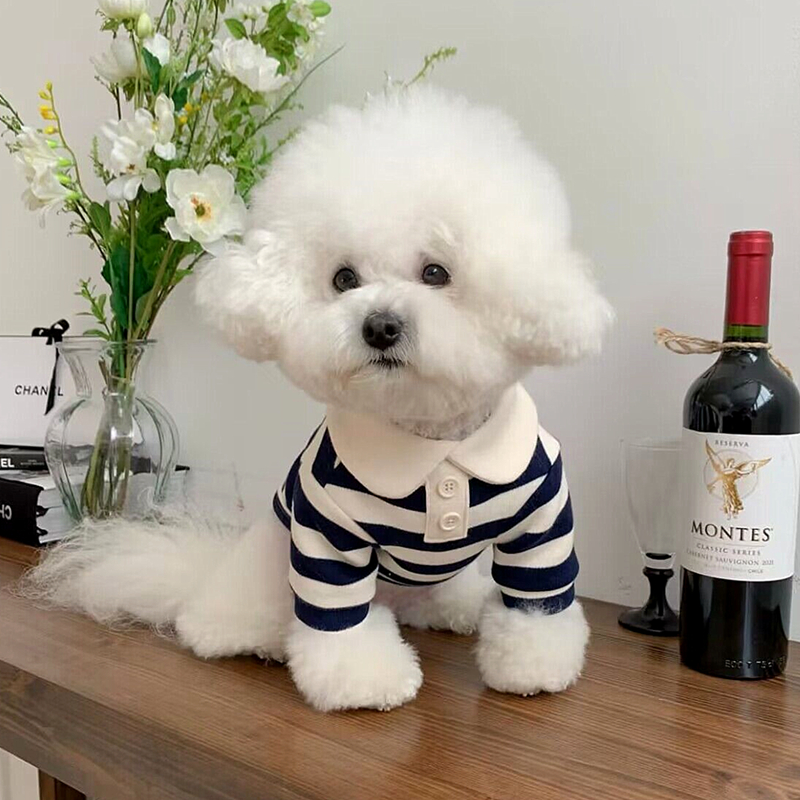 Chic Summer Dog Polo