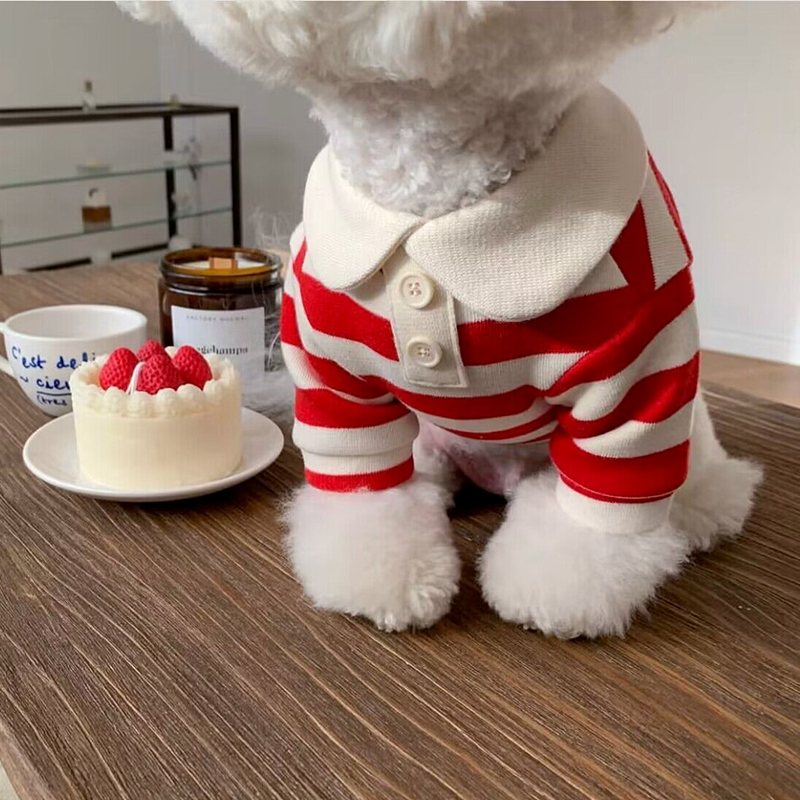Chic Summer Dog Polo